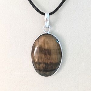 Tiger's Eye Gemstone 925 Sterling Silver Pendant and Black Leather Cord Necklace